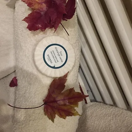 Couette-café Cocooning Avec S.de Bain Prive