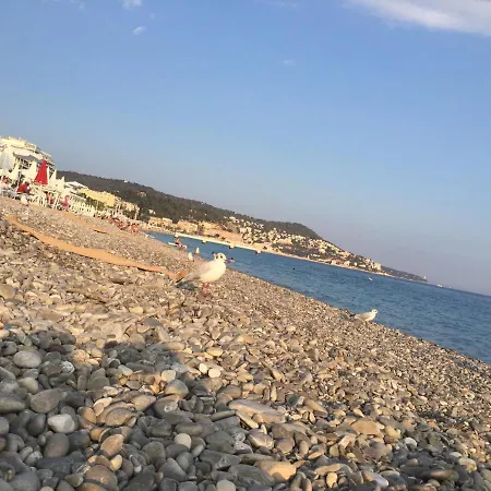 科孔旅馆及私人浴室 尼斯