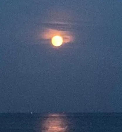 科孔旅馆及私人浴室 尼斯