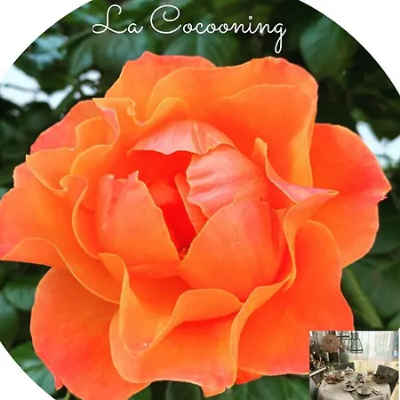 科孔旅馆及私人浴室