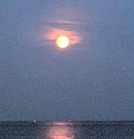 Panzió Cocon Cosy Romantique A 5 Minutes A Pied Nizza