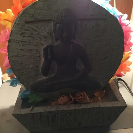 住宿加早餐酒店 科孔旅馆及私人浴室 3*