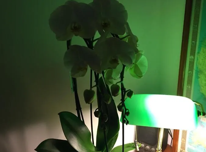 Couette-café Calme Centre Labellisée 3*