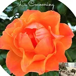 Cocon Cosy Romantique A 5 Minutes A Pied